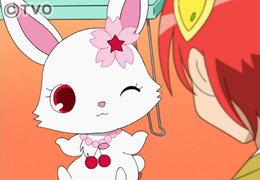 Der Reiz und die Kritiken von Jewelpet: Eine gründliche Erklärung der Geschichte von Magie und Freundschaft
