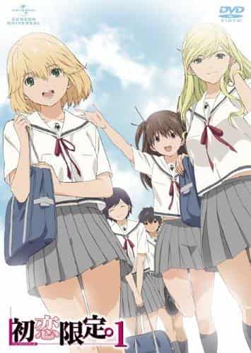 Die erste Liebe ist begrenzt. Die Attraktivität und Bewertung des DVD-Bonusfeatures „Limited Edition Girl“