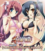 Eine ausführliche Rezension von Shin Koihime Jumusou: The Heroes‘ Southern Island Vacation! Es gibt auch einige Ausrutscher!