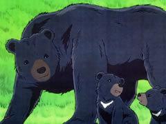 Minakuro der Bär und der alte Mann Kohei: Eine gründliche Überprüfung der berührenden Geschichte und Charaktertiefe
