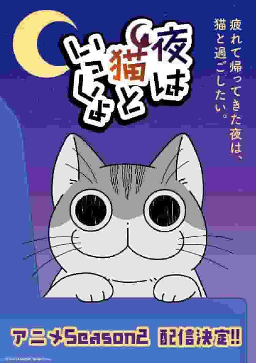 Der Reiz und die Kritiken zur zweiten Staffel von „Yoru wa Neko to Issyo“: Ein Must-See-Anime für Katzenliebhaber