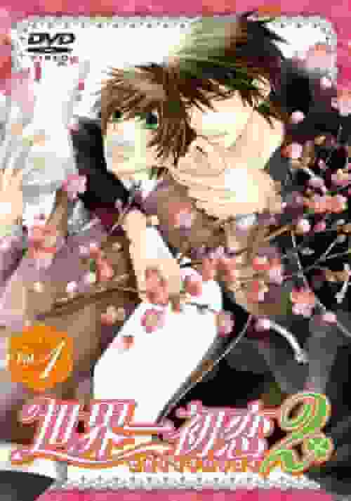Die Anziehungskraft und Kritiken zu "Sekaiichi Hatsukoi 2": Eine gründliche Analyse der bewegenden Fortsetzung