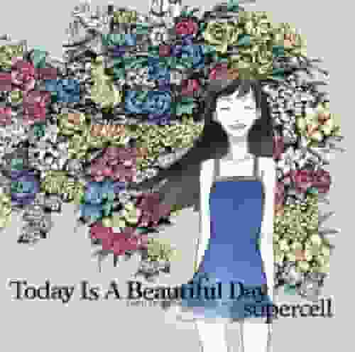 Eine ausführliche Rezension von „Perfect Day“! Kann dieser Anime wirklich einen perfekten Tag darstellen?