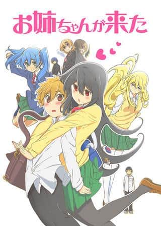 Meine große Schwester ist gekommen: Die Attraktivität und Bewertung des nicht im Fernsehen ausgestrahlten Original-Anime
