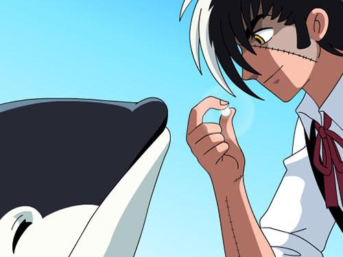 Black Jack Internet Edition: Neuer Reiz und Wertung des Klassikers