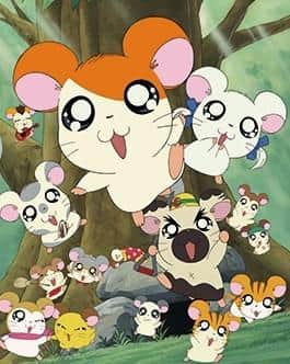 Die Attraktivität und Bewertung des Hamtaro-Spezialanimes