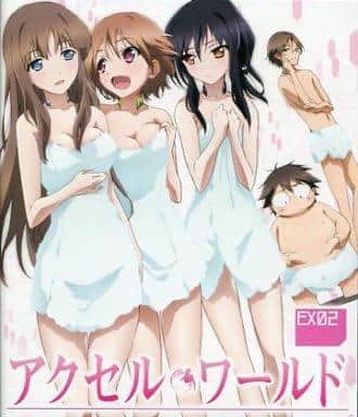 Accel World – Acceleration Summit – Detaillierte Überprüfung und Bewertung der gebündelten OVA