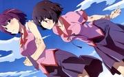 Eine gründliche Rezension der Charakterkommentarversion der Monogatari-Serie! Was sind die neuen Reize dieser charmanten Charaktere?