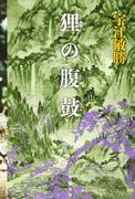 Kritik zu „Tanuki no Harada“: Eine faszinierende Geschichte und tiefgründige Charaktere