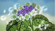 "Summer Love Flowers": Das bewegende Lied aller neu bewerten