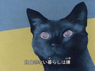 Cat's Eye Love: Der Reiz und die Kritiken der Minna no Uta-Version