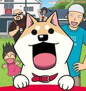 Meine liebe Mooko: Was ist der Reiz dieses herzerwärmenden und beruhigenden Animes, der das tägliche Leben einer Katze darstellt?