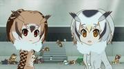 Der Reiz und die Eindrücke der Kemono Friends x Anisama 2017-Zusammenarbeit