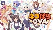 Der Reiz und die Kritiken von Nekopara OVA: Ein Anime-Erlebnis, das Katzenliebhaber unbedingt sehen müssen