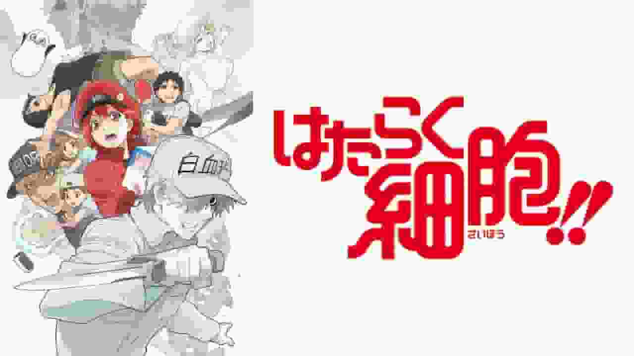 Zellen bei der Arbeit!! Staffel 2: Ein neues Abenteuer und eine bewegende Geschichte von Cells