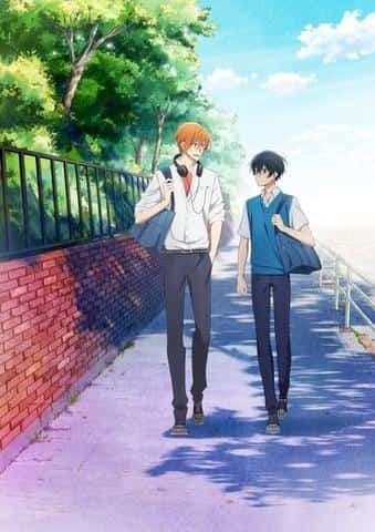 Der Reiz und die Kritiken zu „Sasaki und Miyano“: Eine Coming-of-Age-Geschichte, die BL-Fans sehen müssen